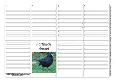 Faltbuch-Amsel-L-11.pdf